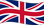 Flag of United Kingdom x25
